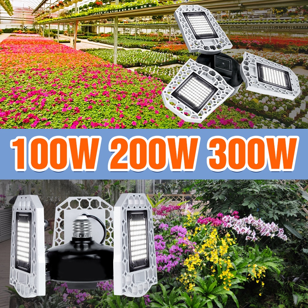 LED 피토램프 온실 텐트 수경 재배 램프, 식물 꽃 씨앗 실내 재배 상자 100W 200W 300W